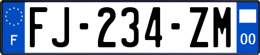 FJ-234-ZM