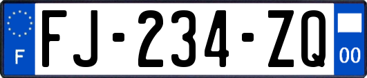 FJ-234-ZQ