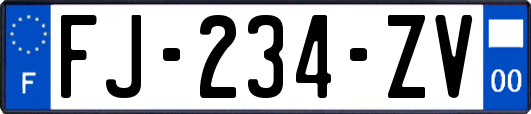 FJ-234-ZV