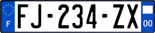 FJ-234-ZX