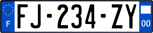 FJ-234-ZY