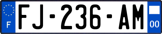 FJ-236-AM