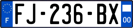 FJ-236-BX