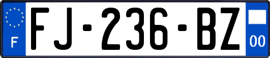 FJ-236-BZ