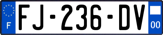 FJ-236-DV