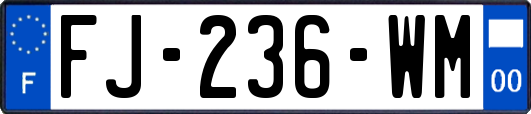 FJ-236-WM