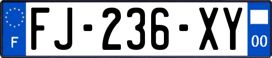 FJ-236-XY