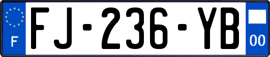 FJ-236-YB