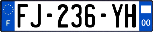 FJ-236-YH