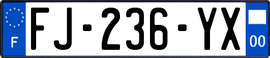 FJ-236-YX