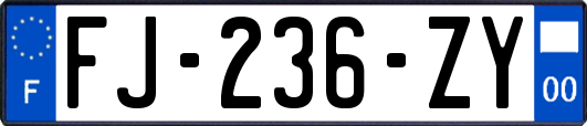 FJ-236-ZY