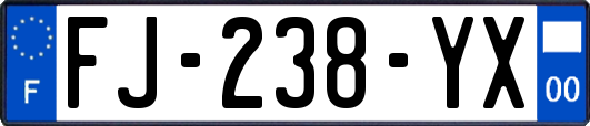 FJ-238-YX
