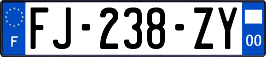 FJ-238-ZY