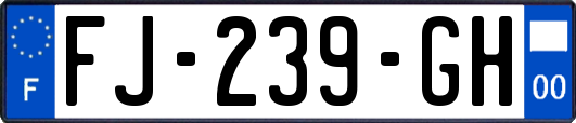 FJ-239-GH