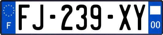 FJ-239-XY