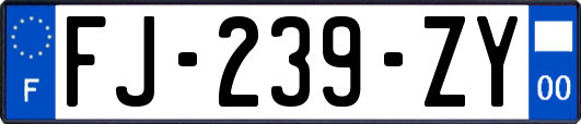 FJ-239-ZY