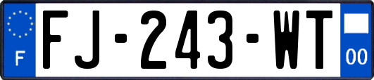 FJ-243-WT