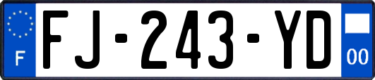 FJ-243-YD
