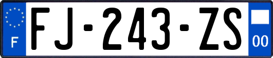 FJ-243-ZS