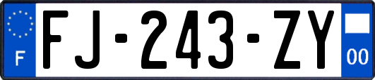 FJ-243-ZY