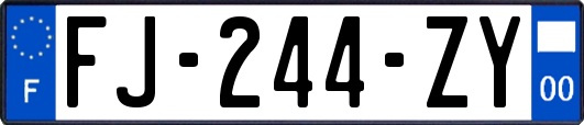 FJ-244-ZY