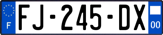 FJ-245-DX