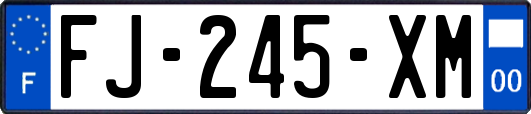 FJ-245-XM