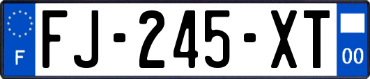 FJ-245-XT