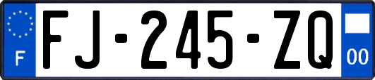 FJ-245-ZQ