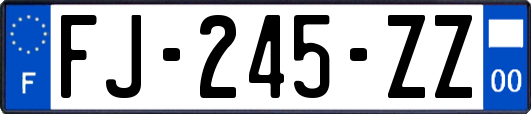 FJ-245-ZZ