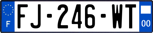 FJ-246-WT