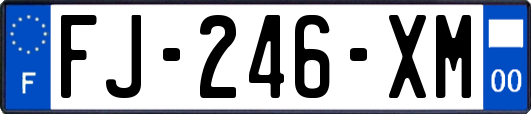 FJ-246-XM