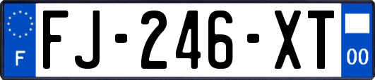 FJ-246-XT
