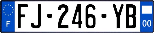 FJ-246-YB