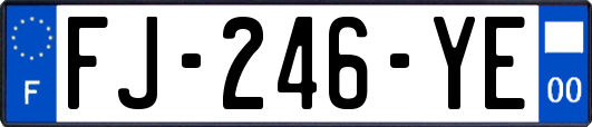 FJ-246-YE