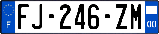 FJ-246-ZM