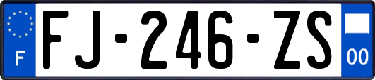 FJ-246-ZS