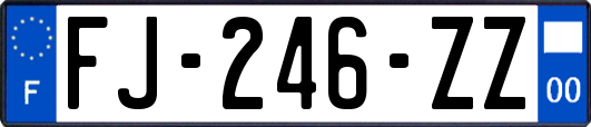 FJ-246-ZZ