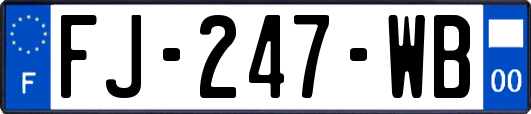 FJ-247-WB