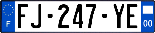 FJ-247-YE