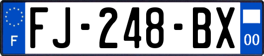 FJ-248-BX