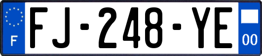 FJ-248-YE