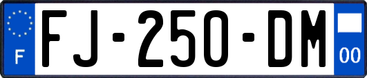 FJ-250-DM