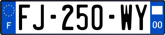 FJ-250-WY