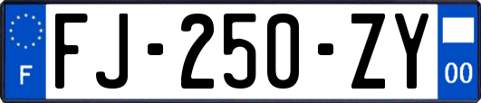 FJ-250-ZY