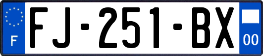 FJ-251-BX