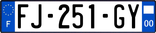 FJ-251-GY
