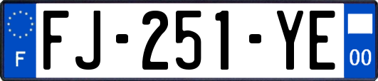 FJ-251-YE