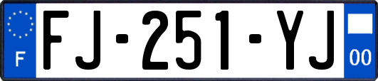 FJ-251-YJ