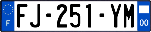 FJ-251-YM